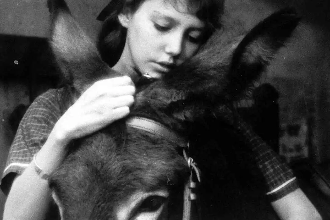 Au Hasard Balthazar by Robert Bresson - TPCC