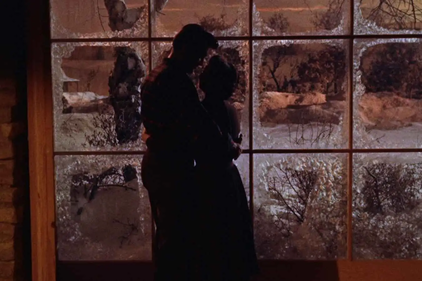 All That Heaven Allows by Douglas Sirk - TPCC