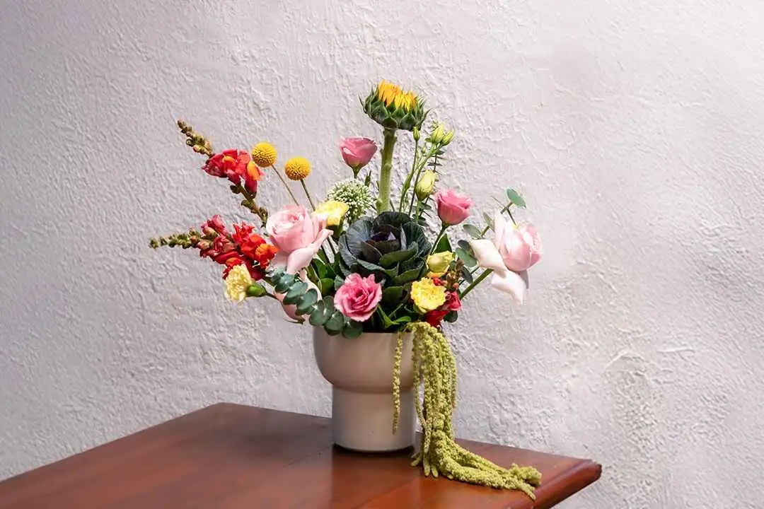 Olive 101 - Beautiful Blooms