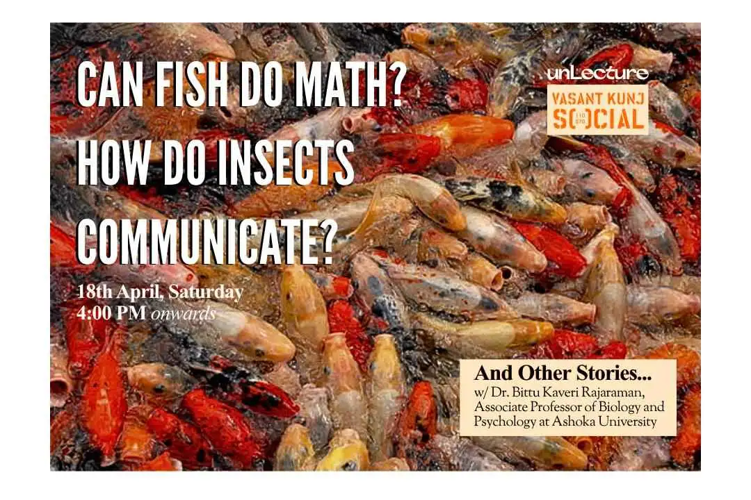 Can Fish Do Math? And Other Stories