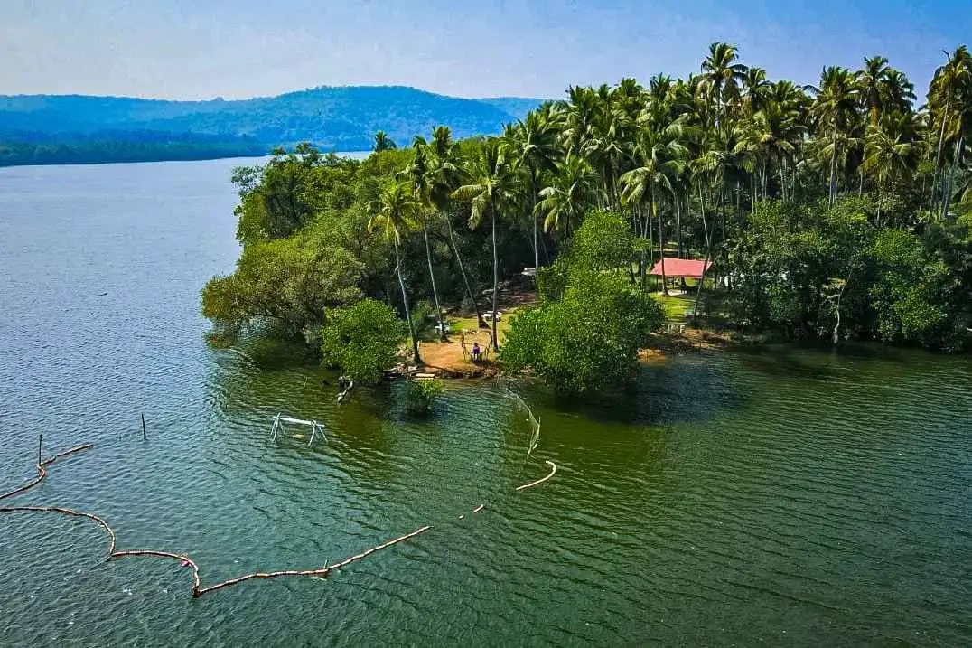 Hanv saiba poltode vetan : The Island Picnic.