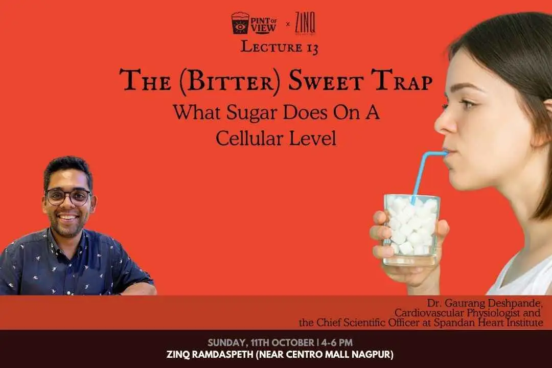 The (Bitter) Sweet Trap: Sugar & Impact on Cells