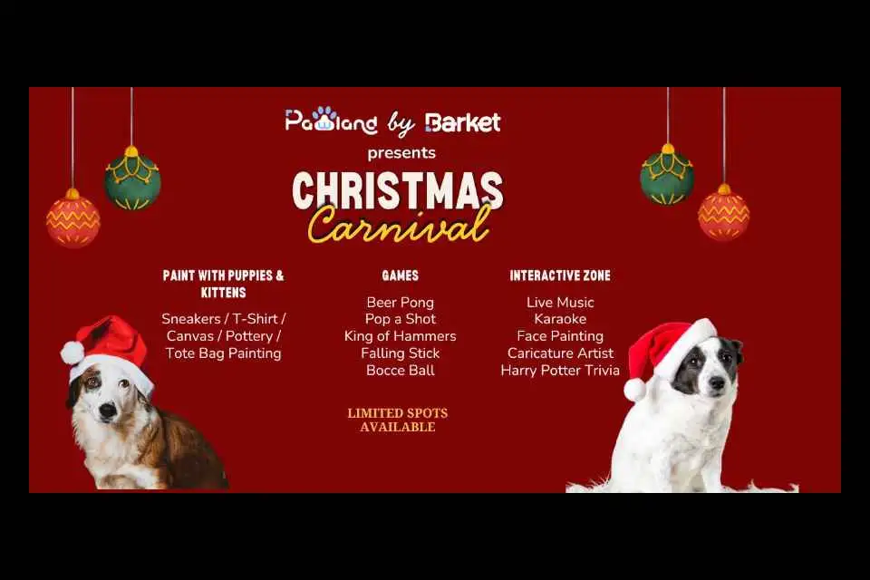 Christmas Carnival | 25th Dec 2025 |12PM-8PM | Bee