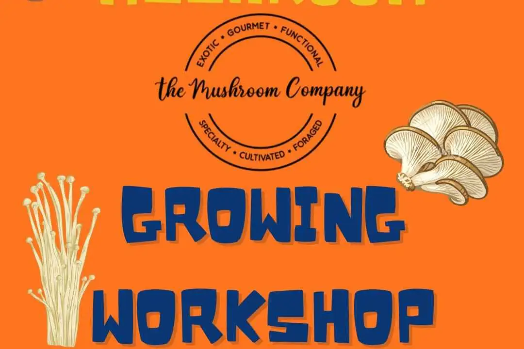 Mushroom Farm Tour