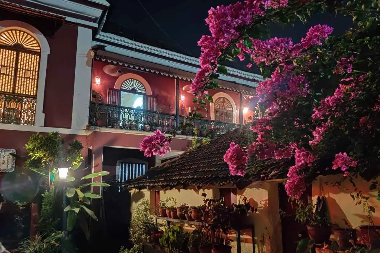 Cover Photo