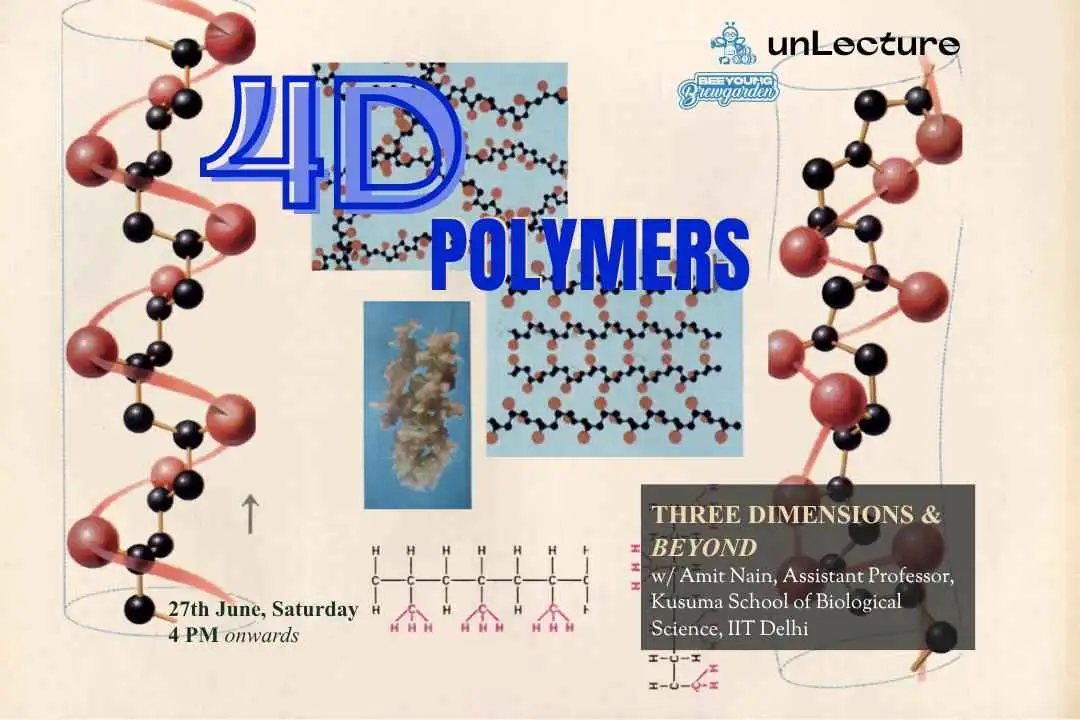 4D Polymers: 3 Dimensions & Beyond