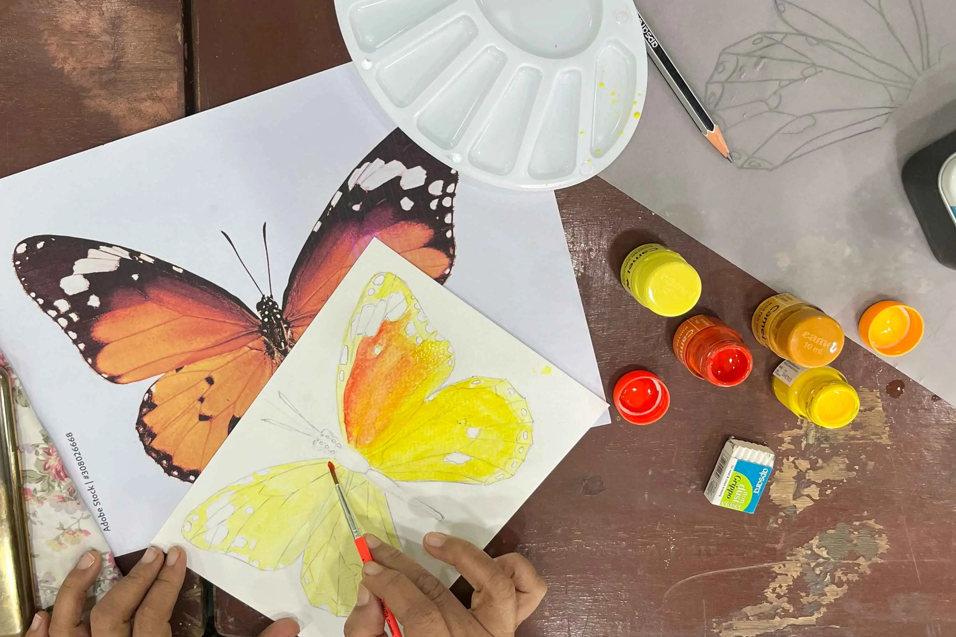 Butterfly Painting Workshop