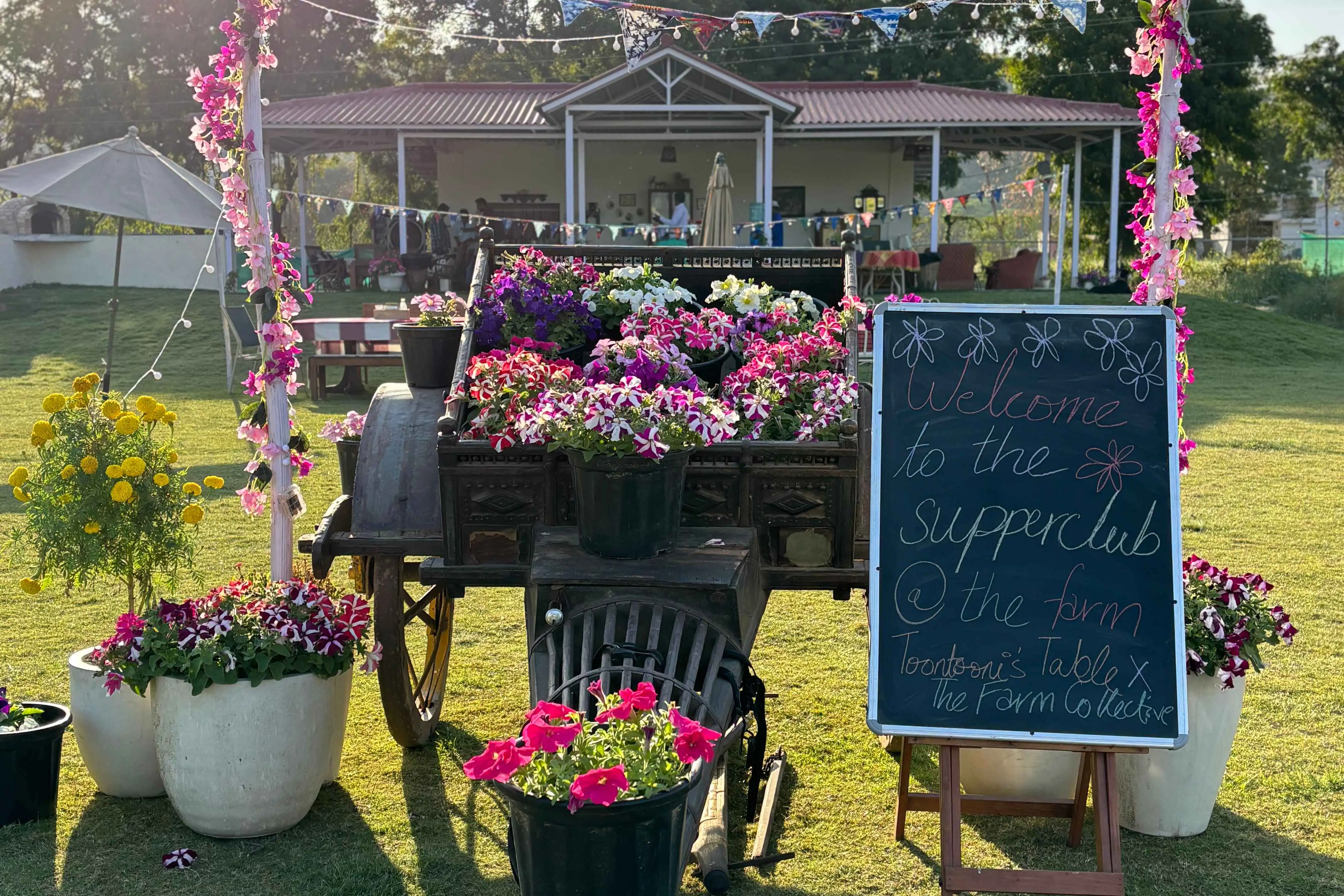 A Bengali Brunch in the Fields