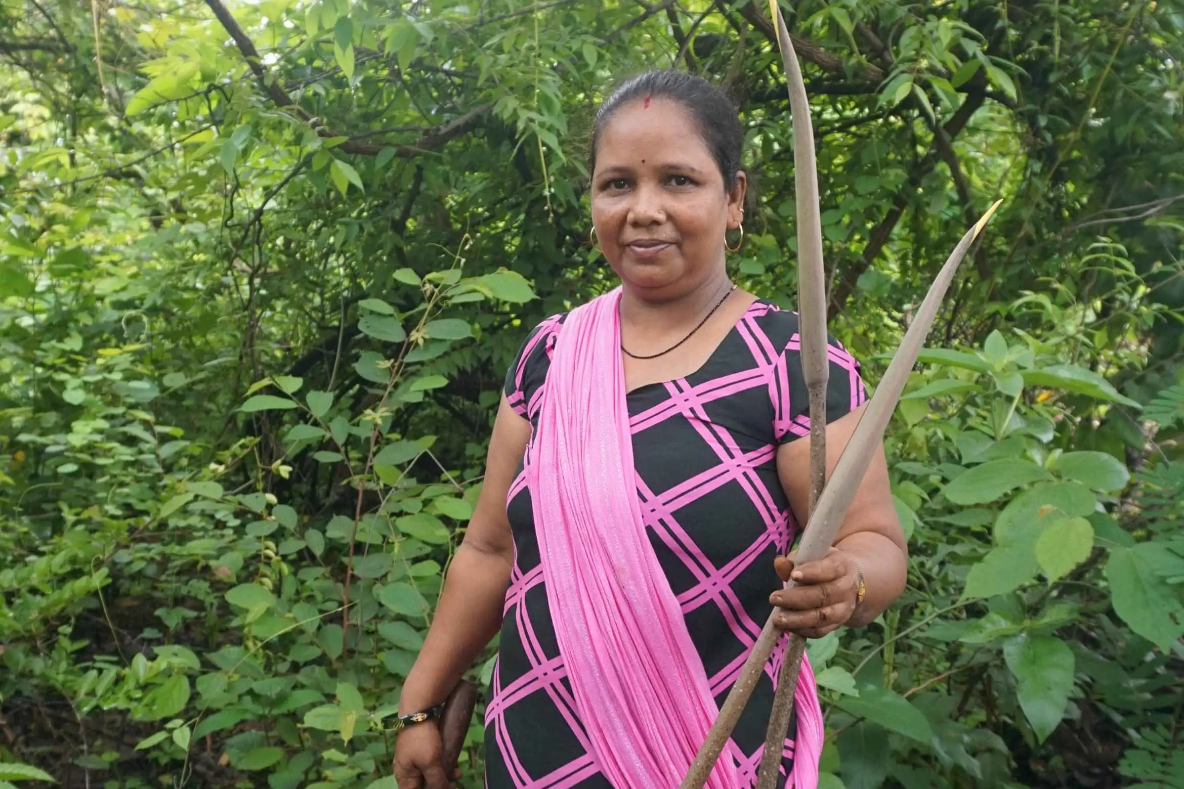 Foraging with Adivasis