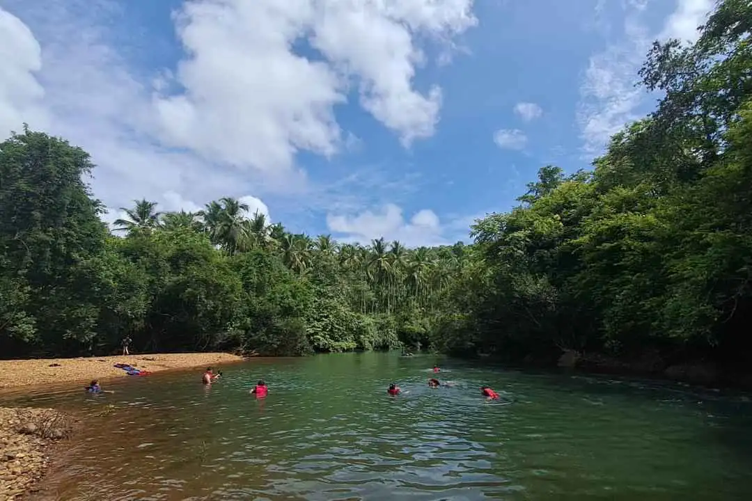 Varaak: Forest Bathing & Wild Dining.