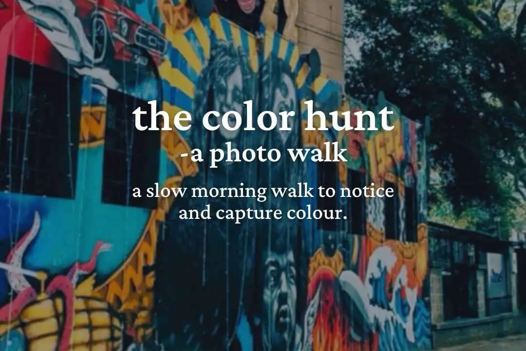 The Color Hunt: A Photo Walk