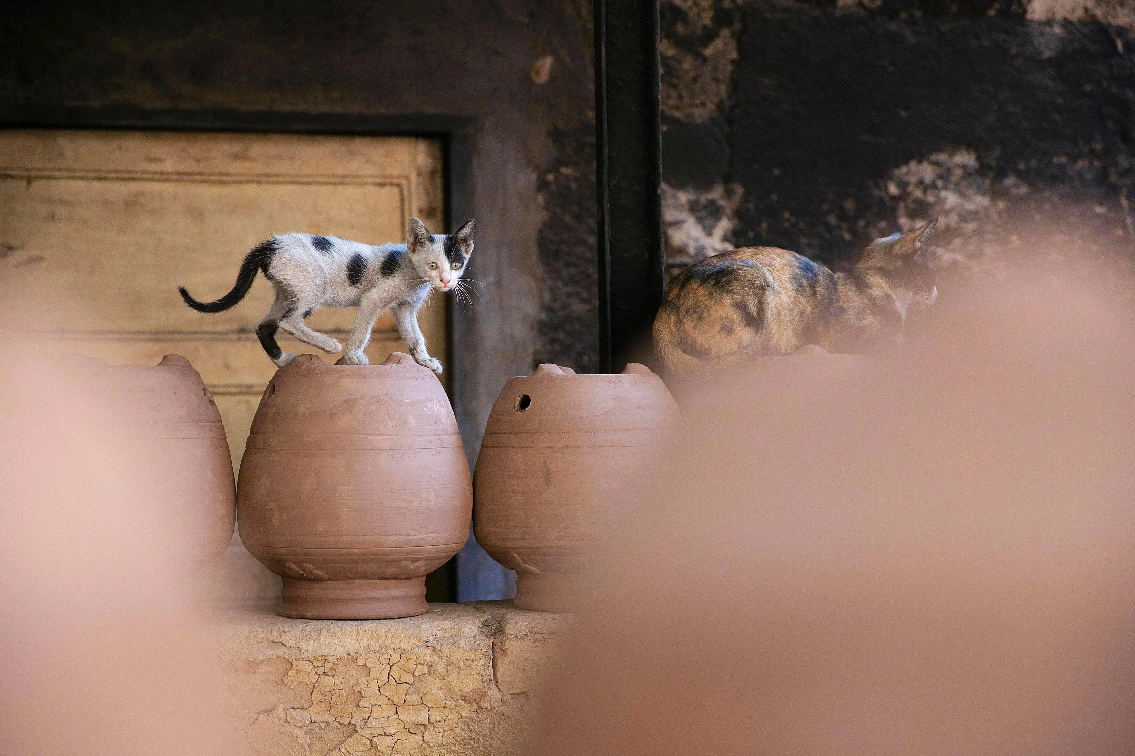 KUMBHARWADA PHOTOWALK