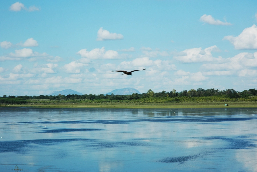 Hesaraghatta-exploring nature and life