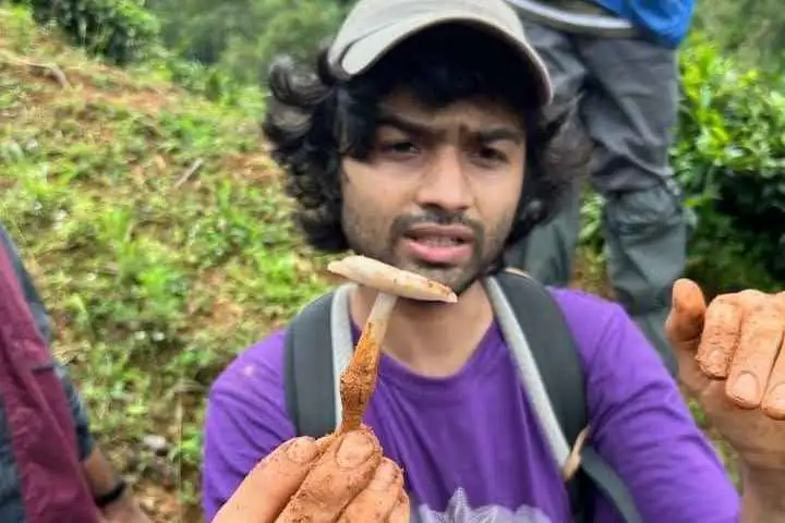 Grow your own mushrooms!
