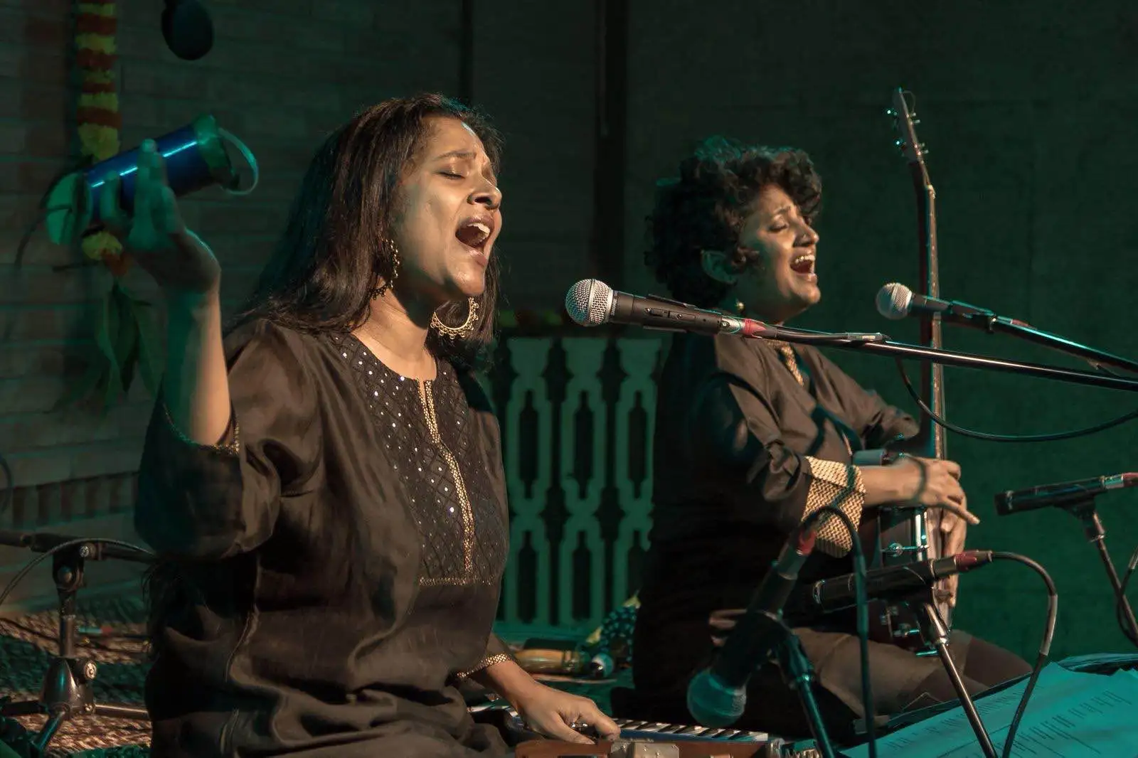 The Threshold by MD Pallavi & Bindhumalini