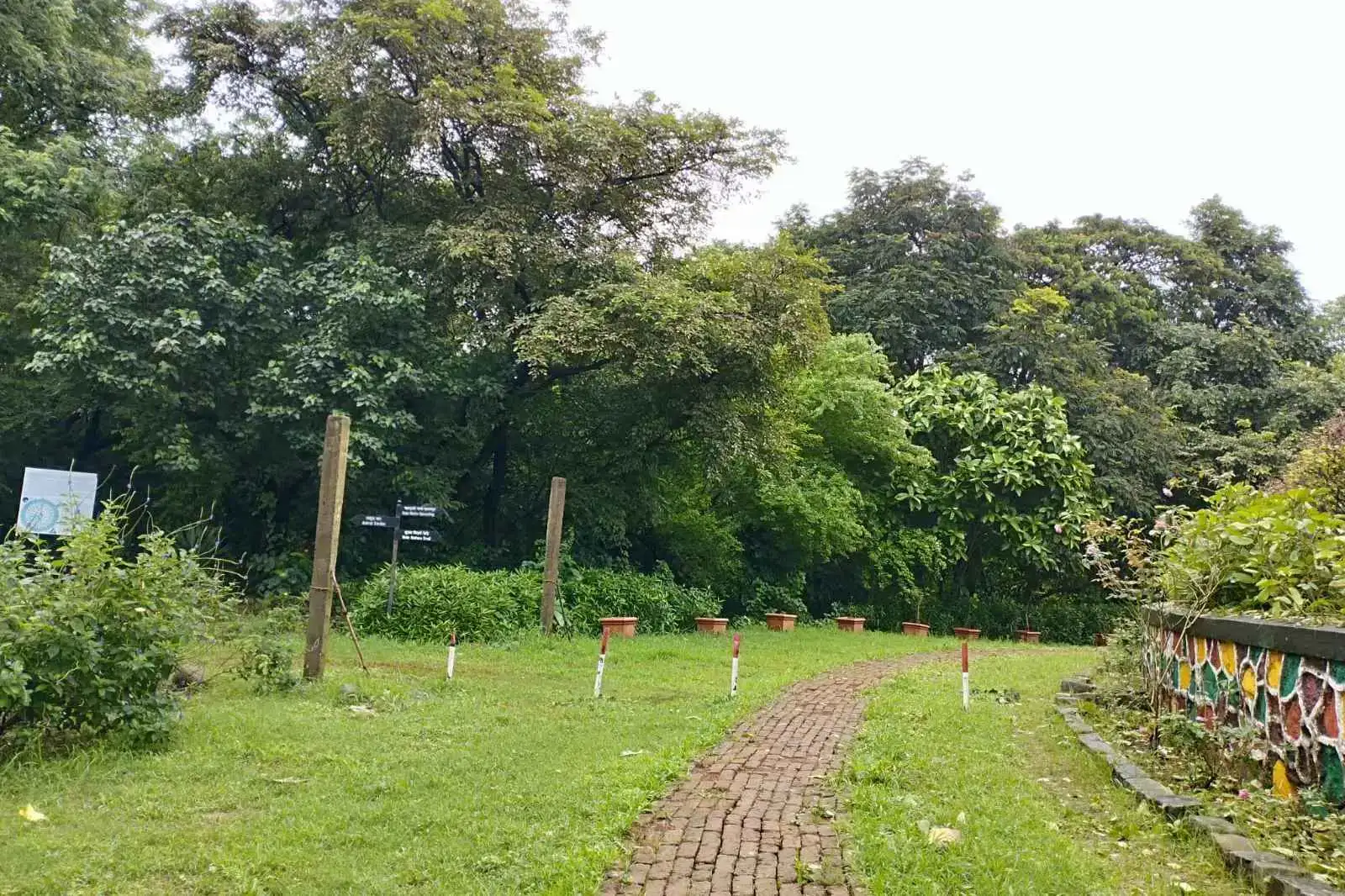 Monsoon Nature Trail at Maharashtra Nature Park