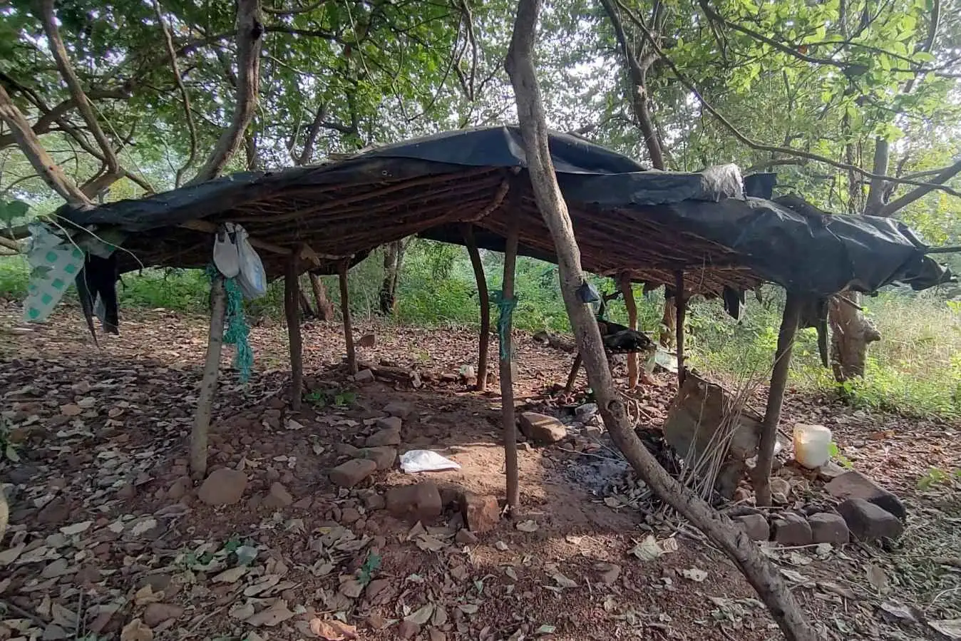 Tribal Trails at Aarey