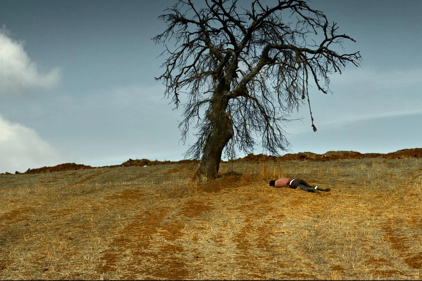 The Wild Pear Tree by Nuri Bilge Ceylan - TPCC