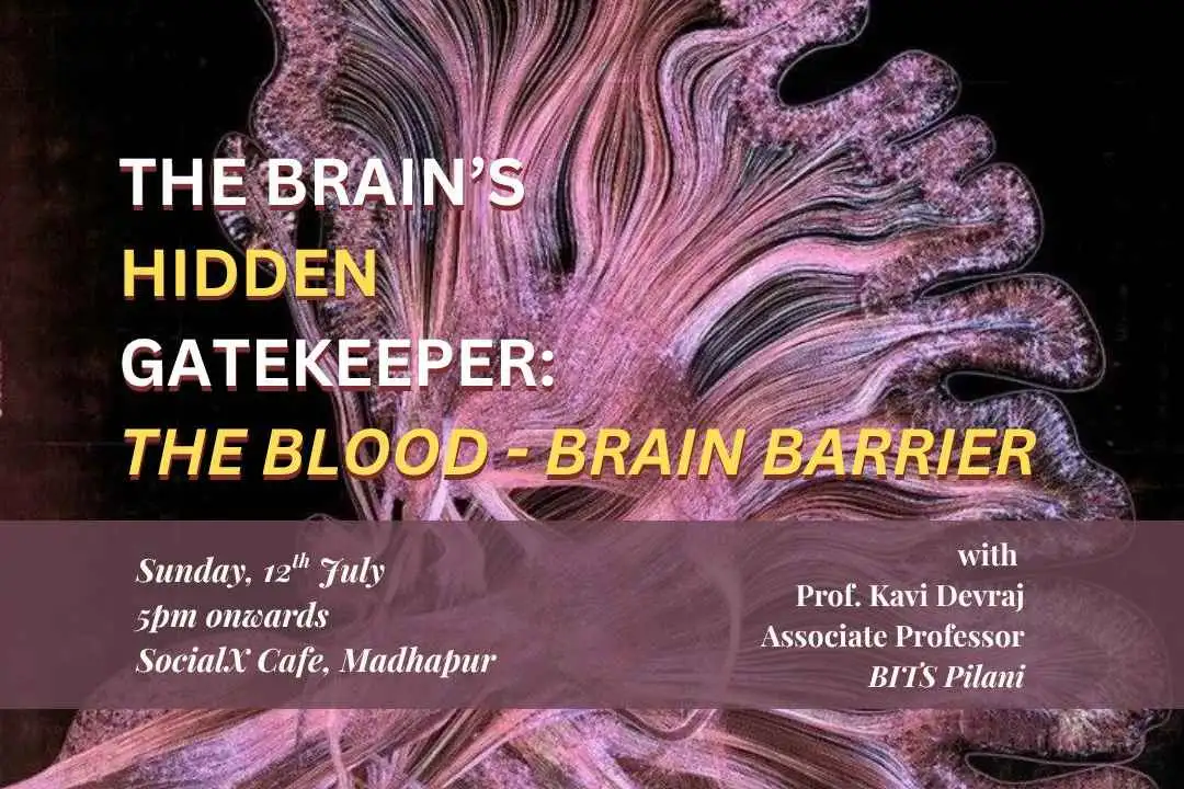 Brain's Hidden Gatekeeper