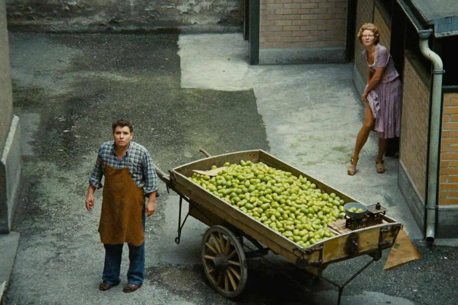 The Merchant of Four Seasons: Rainer Werner Fassbinder Retrospective