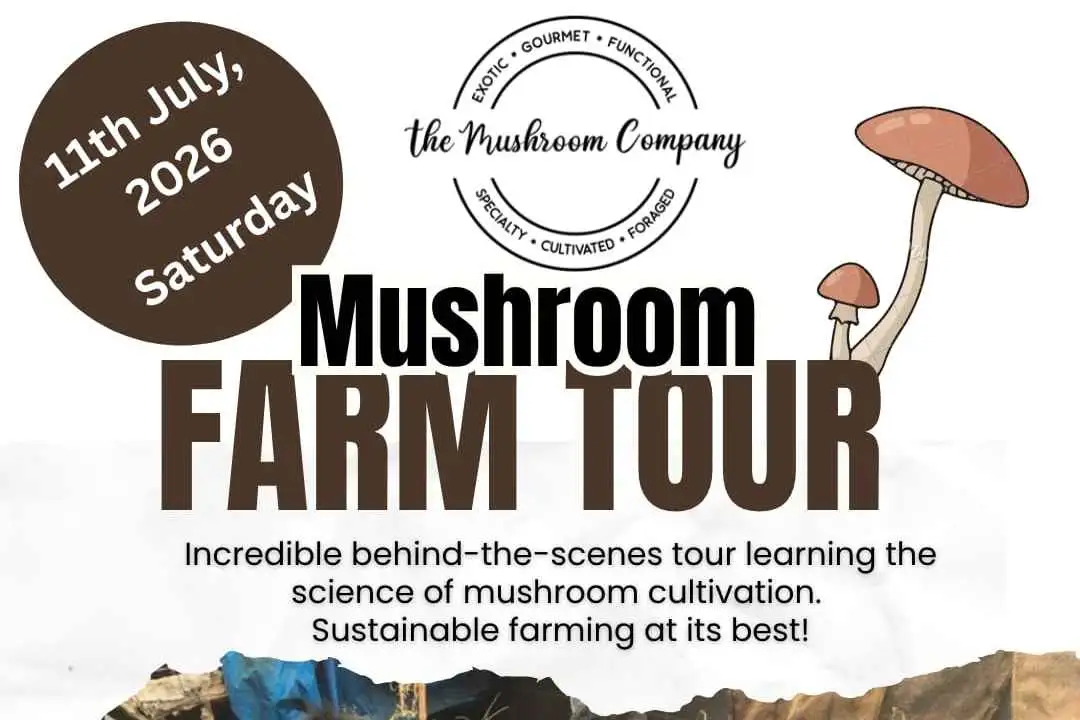Mushroom Farm Tour