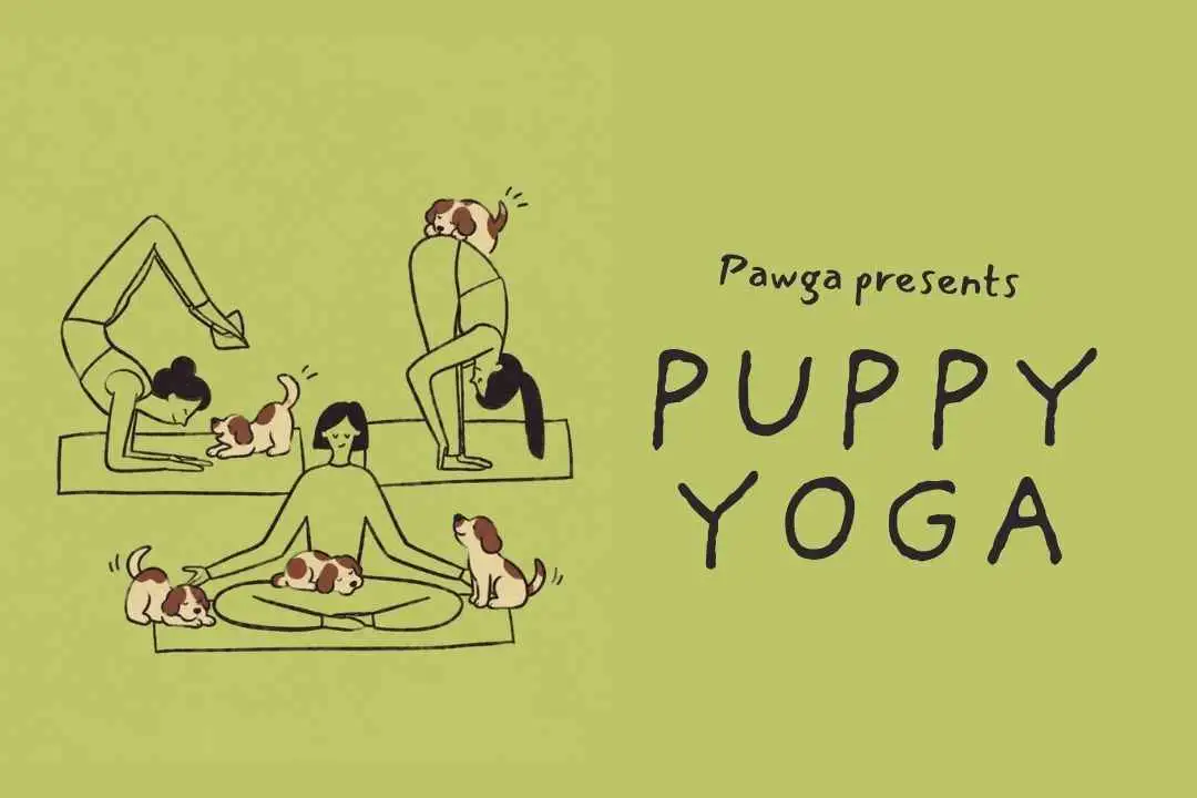 Puppy Yoga - Chennai