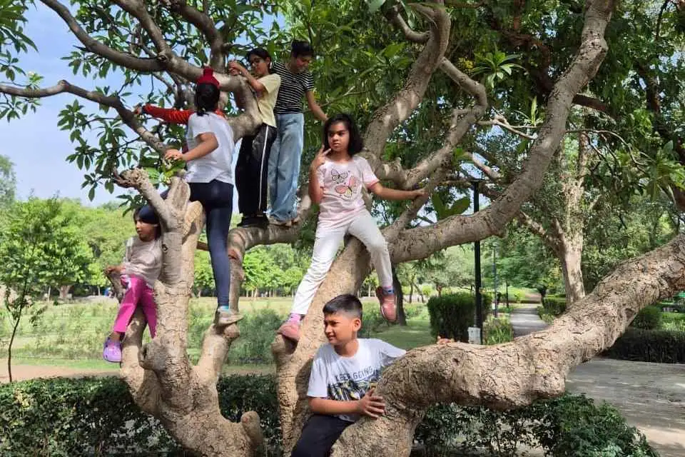 Tree Climbing Workshop
