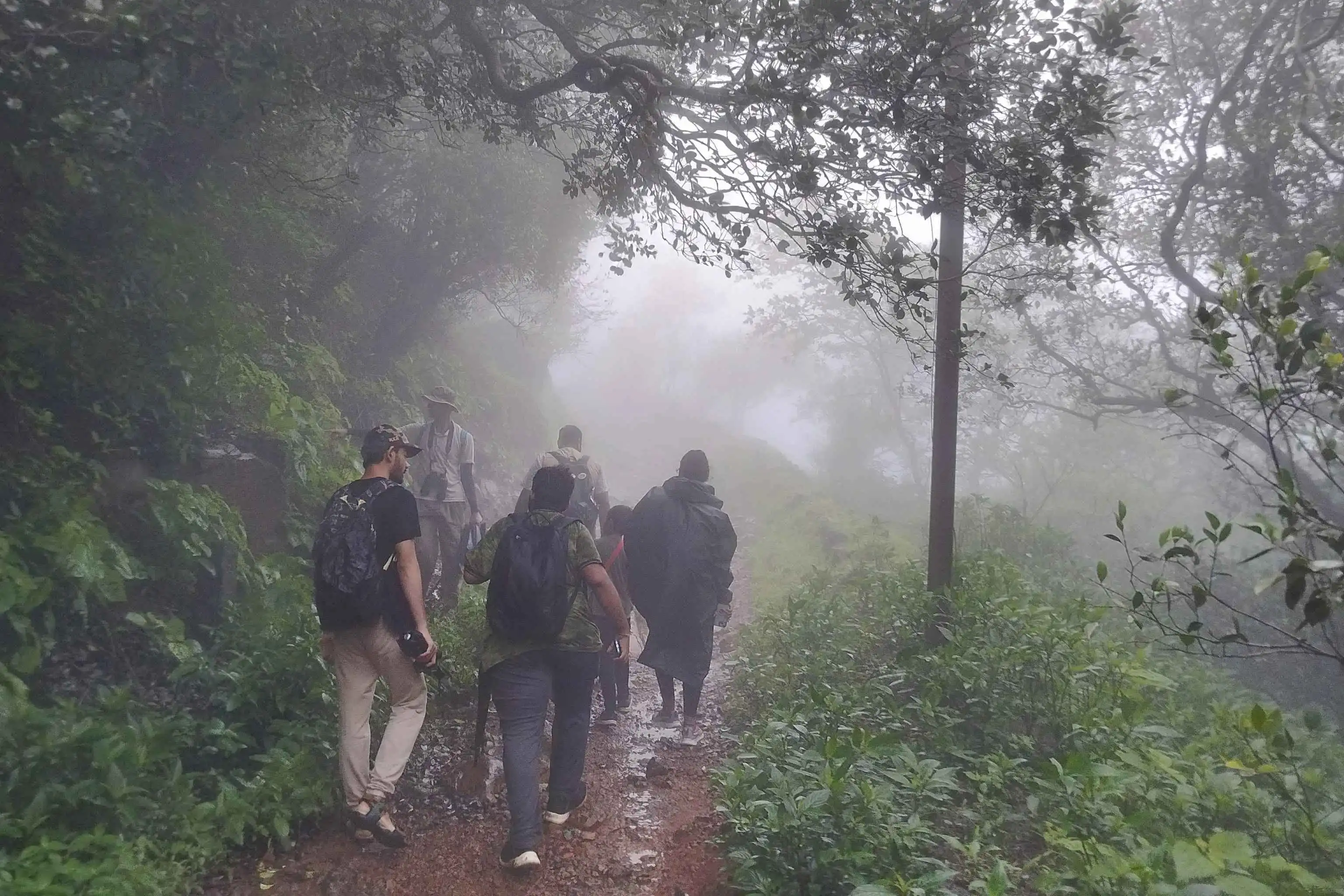 Biodiversity Walk at Matheran