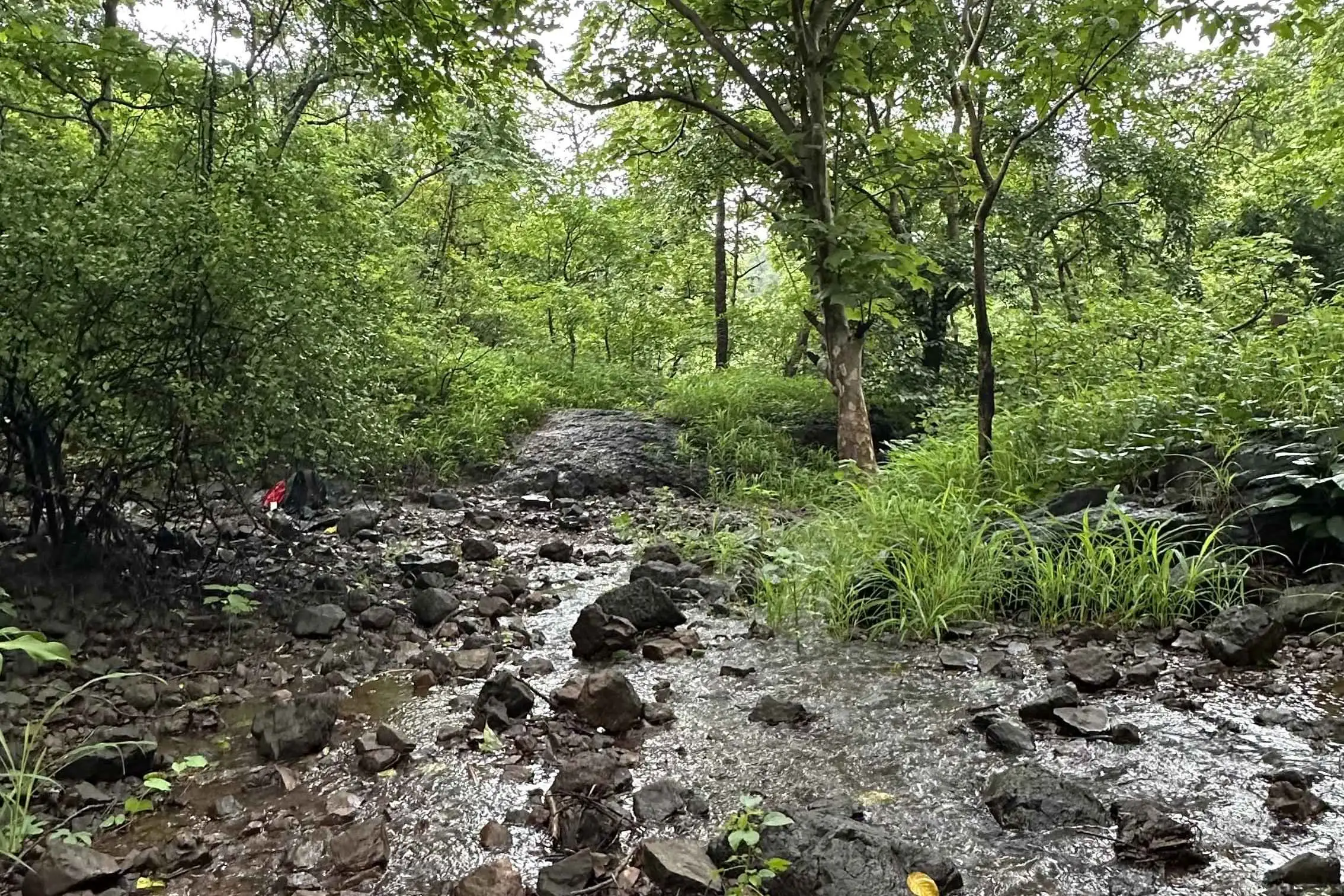 Wild Wonders Trail at BNHS, Goregaon