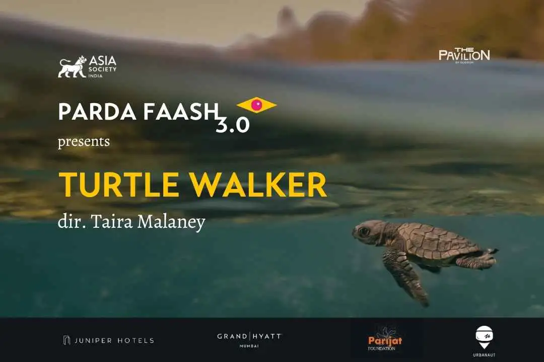 Turtle Walker by Taira Malaney