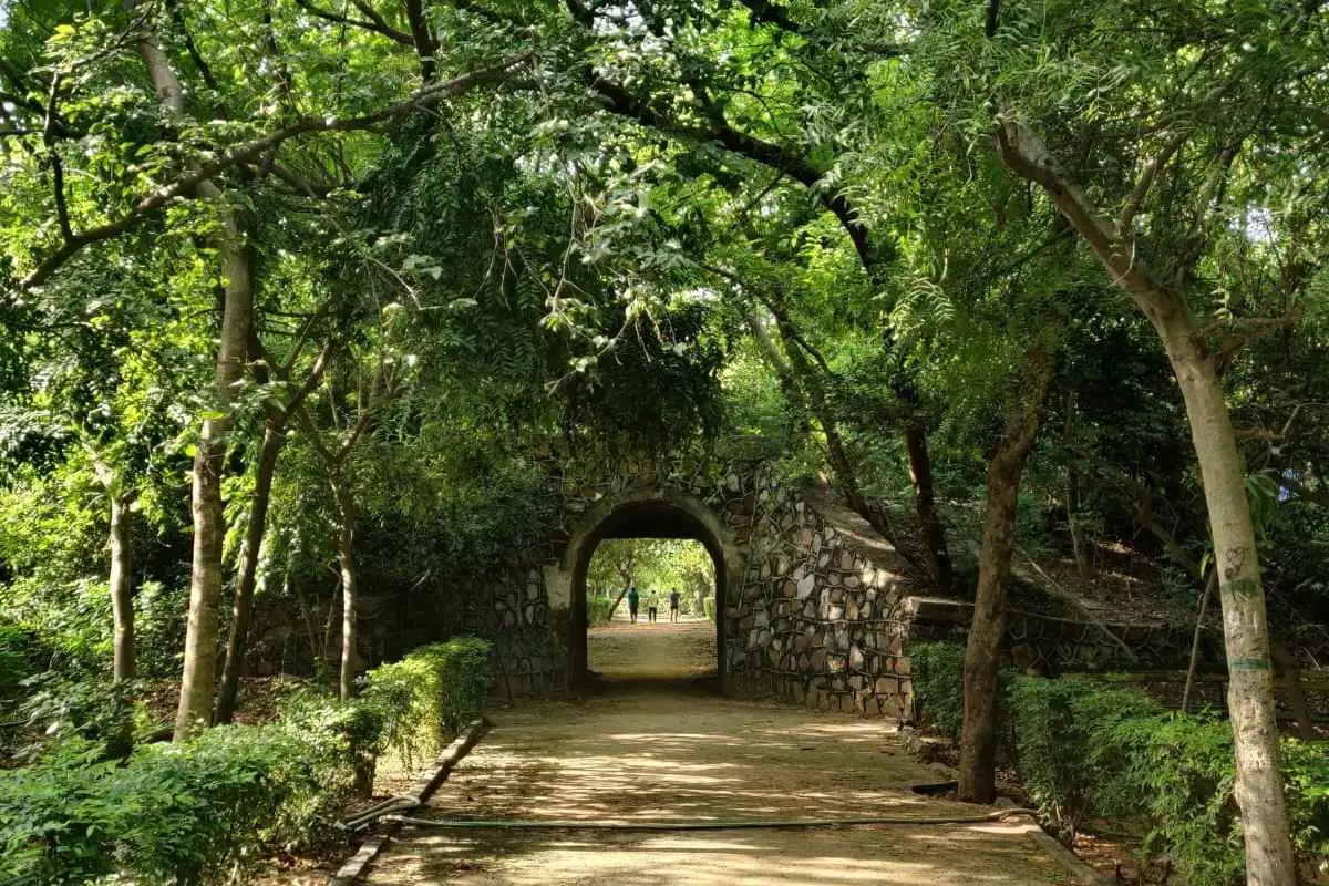 Nature Walk - Jahanpanah City Forest