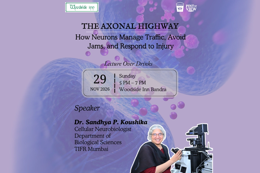 🧠 🔬 The Axonal Highway