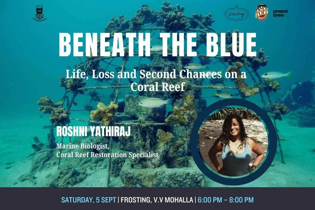 Beneath the Blue: Life, Loss and Second Chances