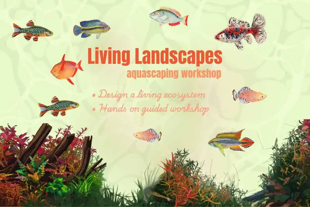 Living Landscapes - Aquascaping Workshop