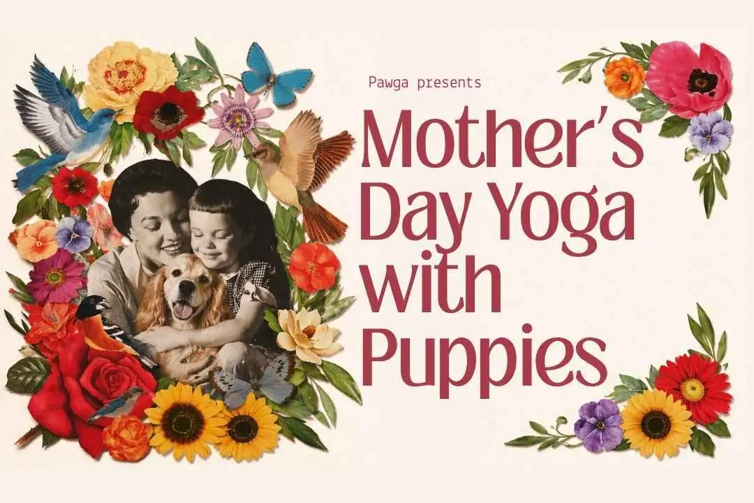 Bangalore Mother's Day Special Puppy Yoga